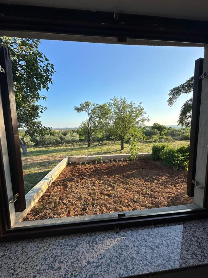 Relax And Unwind: Family-Friendly House Near Zadar In Zagrad Villa Eksteriør billede